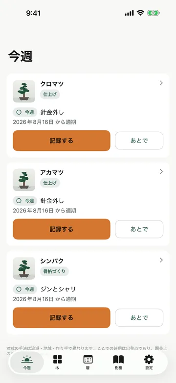 今週の画面。クロマツ・アカマツ・シンパクの各樹について、今週の作業(芽切り・骨格づくり)と記録するボタンが並ぶ